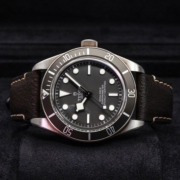 Tudor Black Bay 58 M79010SG-0001